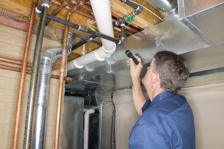 Learn when to call a professional for tenant emergencies Annapolis plumber inspecting leaking pipes for landlord